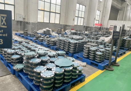 Sunshine Supply Quality Flange and Forgings to BASF-YPC