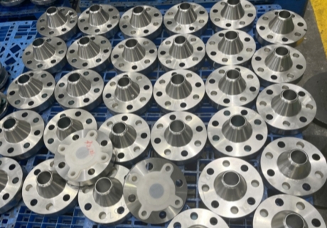 Xiamen Sunshine provides ASME SS316, 5 Inch, RF, SCH STD, 900 LB, B16.5 Weld Neck Flange to Germany client